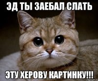 эд ты заебал слать эту херову картинку!!!