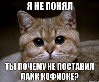 я не понял ты почему не поставил лайк кофиоке?