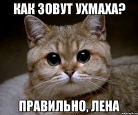 как зовут ухмаха? правильно, лена