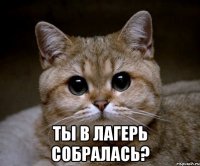  ты в лагерь собралась?