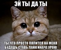 эй ты да ты ты что просто пялится на меня будешь ставь лайк иначе урою