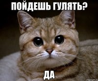 пойдешь гулять? да