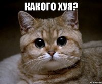 какого хуя? 