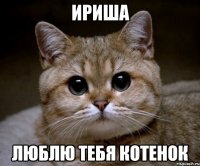 ириша люблю тебя котенок