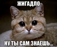 жигадло ну ты сам знаешь...