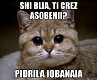 shi blia, ti crez asobenii? pidrila iobanaia