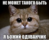 не может такого быть я божий одуванчик