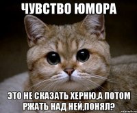 чувство юмора это не сказать херню,а потом ржать над ней,понял?