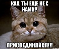 как, ты еще не с нами? присоединяйся!!!