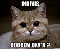 indivis совсем оху*л ?