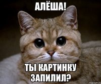 алёша! ты картинку запилил?