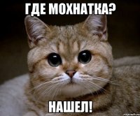 где мохнатка? нашел!