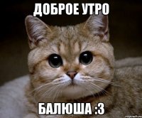 доброе утро балюша :3