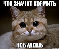 что значит кормить не будешь