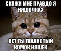 скажи мне правдо я няшочка? нет ты пошистый комок няшек