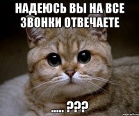 надеюсь вы на все звонки отвечаете ..... ???