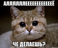 аллллллееееееееееееё че делаешь?