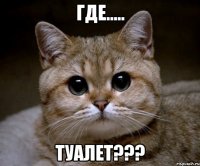 где..... туалет???