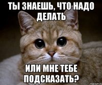 ты знаешь, что надо делать или мне тебе подсказать?