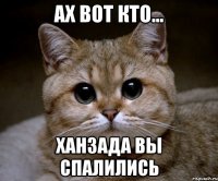 ах вот кто... ханзада вы спалились