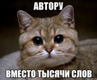 автору вместо тысячи слов