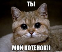 ты мой котенок))