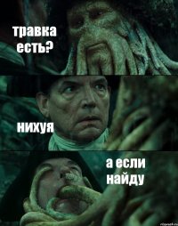 травка есть? нихуя а если найду