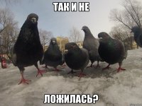 так и не ложилась?