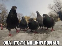  опа, кто-то машину помыл