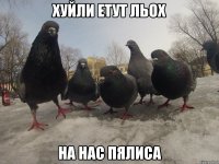 хуйли етут льох на нас пялиса