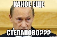 какое еще степаново???