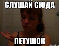 слушай сюда петушок