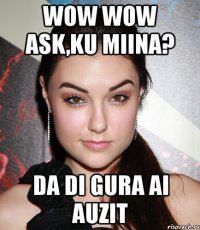 wow wow ask,ku miina? da di gura ai auzit