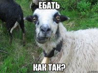 ебать как так?