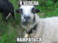 я успела нажраться