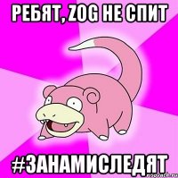 ребят, zog не спит #занамиследят