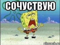 сочуствую 