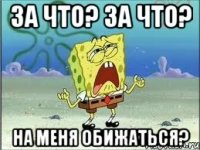 за что? за что? на меня обижаться?