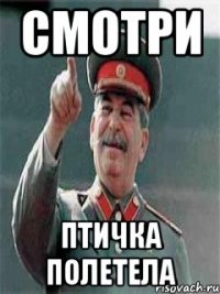 смотри птичка полетела