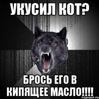 укусил кот? брось его в кипящее масло!!!