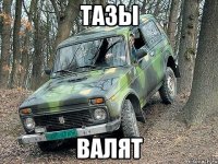 тазы валят