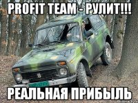 profit team - рулит!!! реальная прибыль