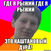 где я рыжий где я рыжий это каштановый дура!