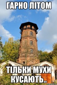 гарно літом тільки мухи кусають..