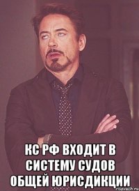  кс рф входит в систему судов общей юрисдикции