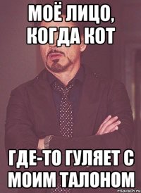 моё лицо, когда кот где-то гуляет с моим талоном