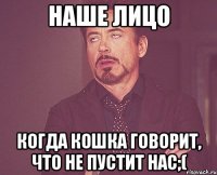наше лицо когда кошка говорит, что не пустит нас;(