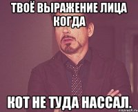 твоё выражение лица когда кот не туда нассал.