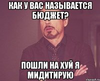 как у вас называется бюджет? пошли на хуй я мидитирую