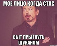 мое лицо когда стас сыт прыгнуть щуканом